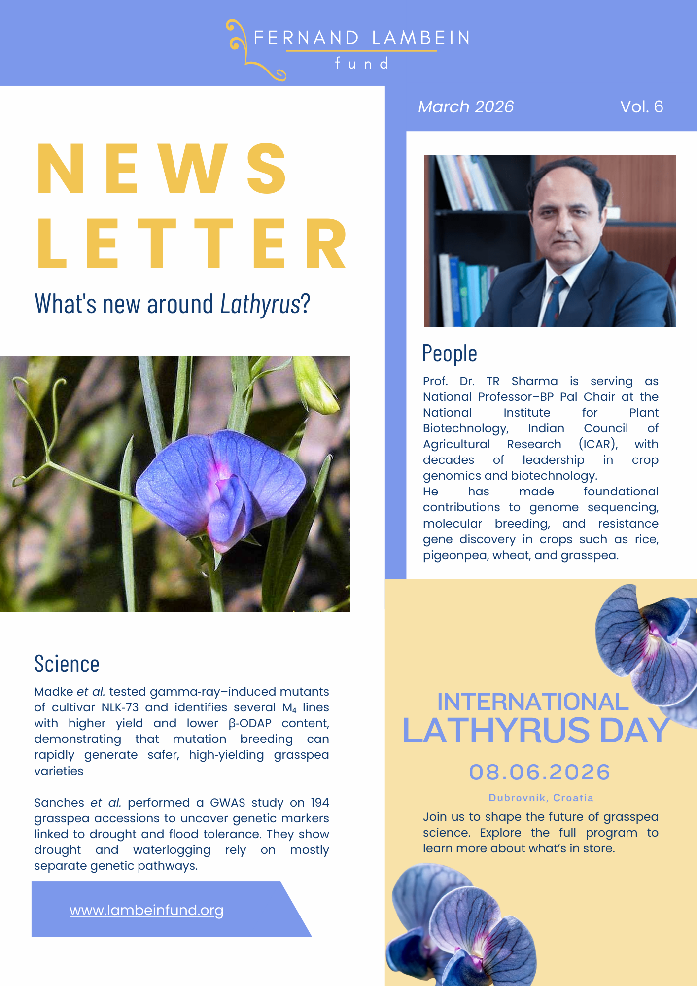 FLF - sixth newsletter